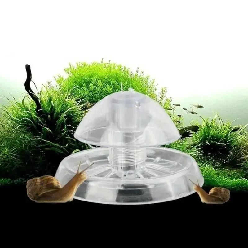 Aquarium Fish Jar - 2026 Perangkap Siput Plastik Transparan 6/8CM