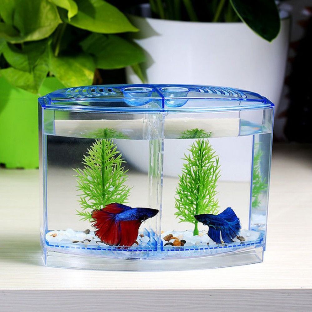 Aquarium Fish Jar - Tangki ikan cupang transparan, akuarium Guppy