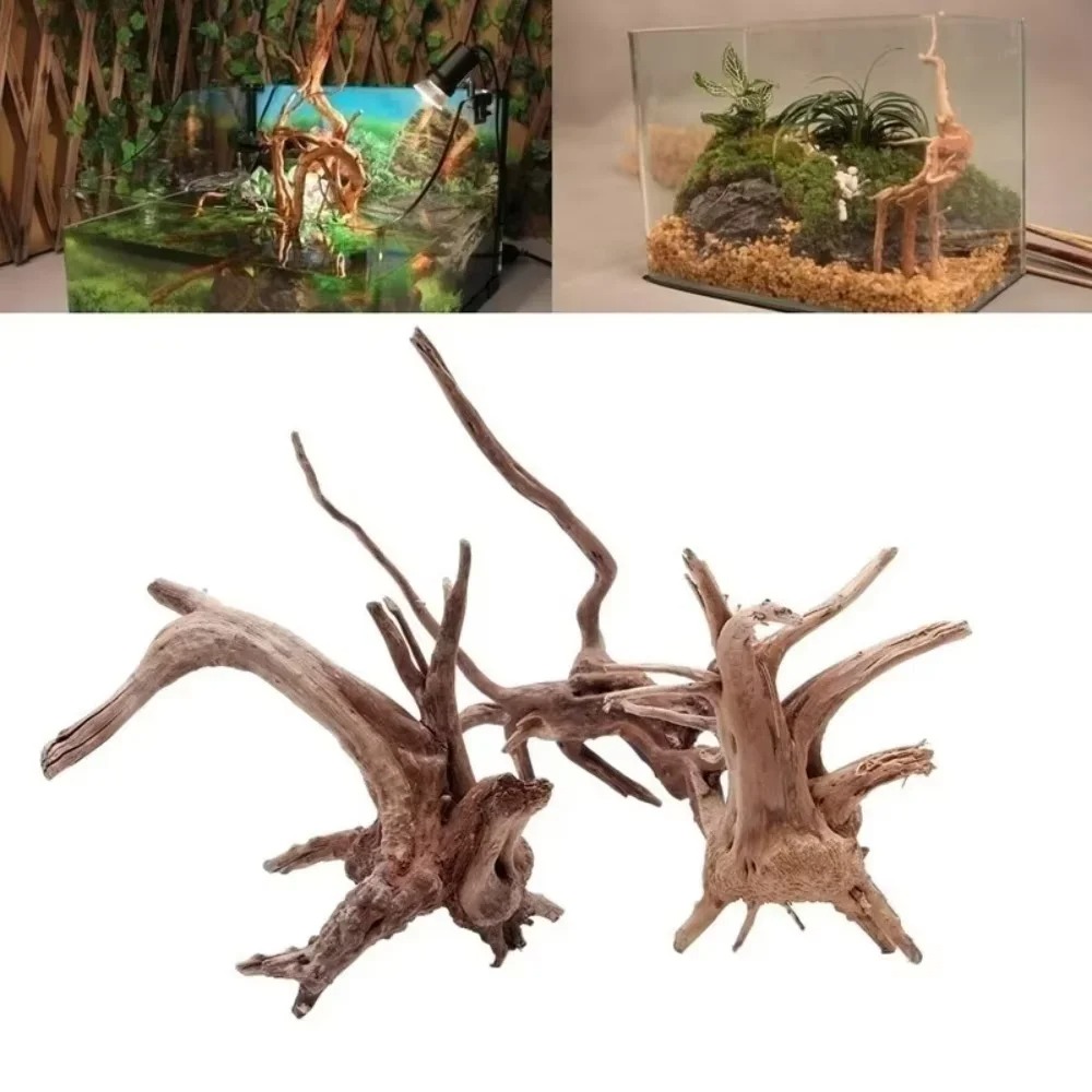 Aquarium Fish Types - (15-20cm) Dekorasi Akuarium Kayu Apung Alami