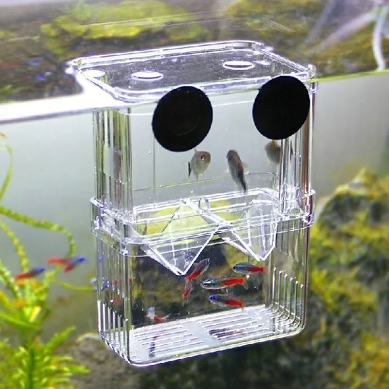 Aquarium Fish Jar - Akuarium Ikan Multifungsi, Kotak Isolasi Pembiakan