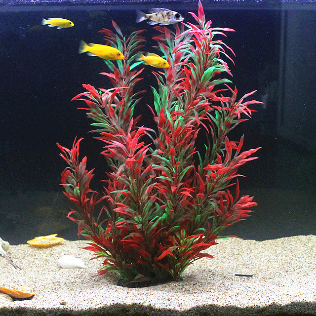 Aquarium Fish Types - 50CM Kolam Ikan Buatan Tanaman Langka