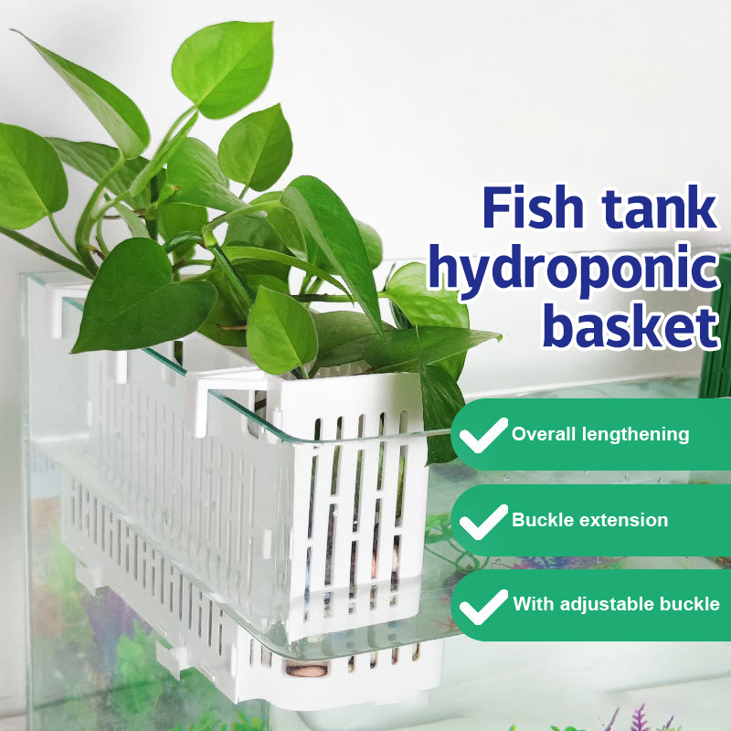 Aquarium Fish Types - 【F】Wadah Tanaman Gantung untuk Akuarium, Tempat