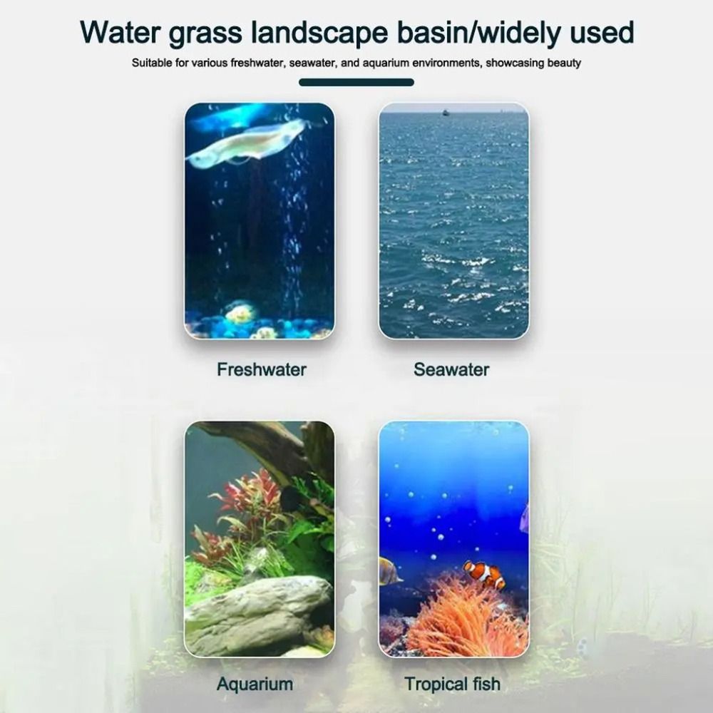 10 Buah Pot Hidroponik Tanaman - Aquarium Fish Hideout ulasan dan harga