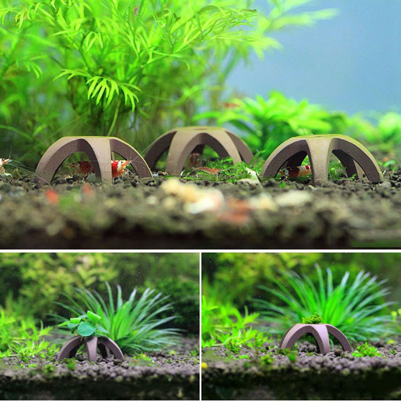 1 Buah Rumah Keramik untuk Aku - Aquarium Fish Hideout ulasan dan harga