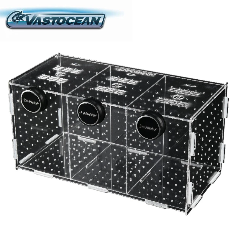 Tangki Ikan VASTOCEAN Kotak Is - Aquarium Fish Jar ulasan dan harga