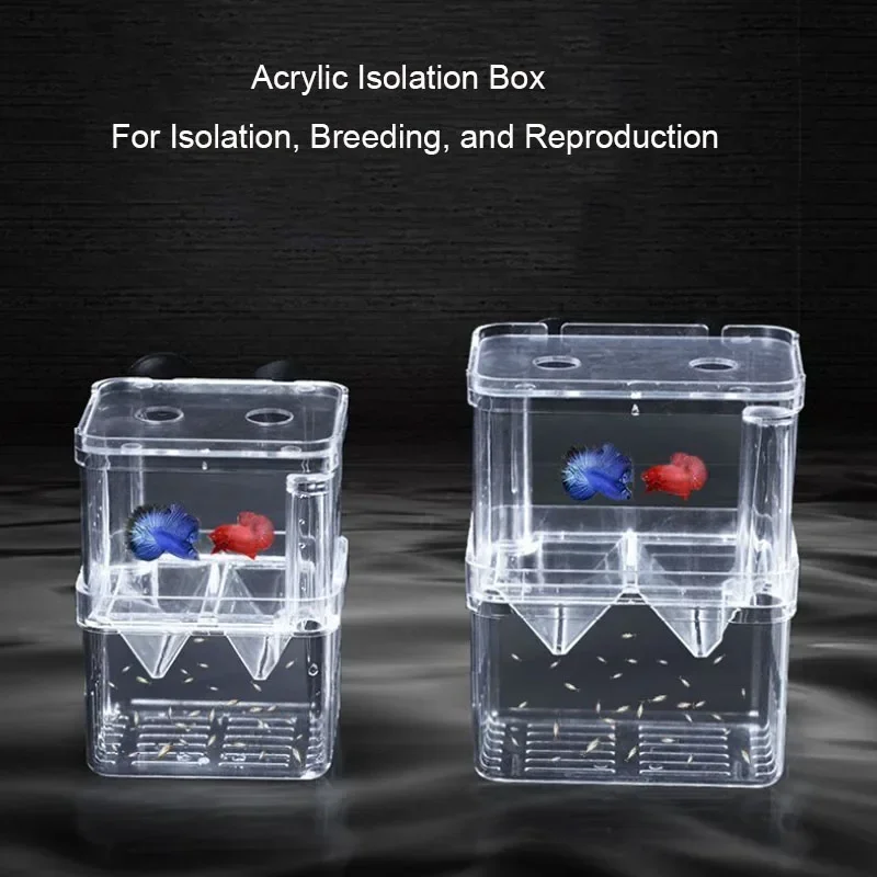 Aksesoris akuarium kotak isola - Aquarium Fish Jar ulasan dan harga