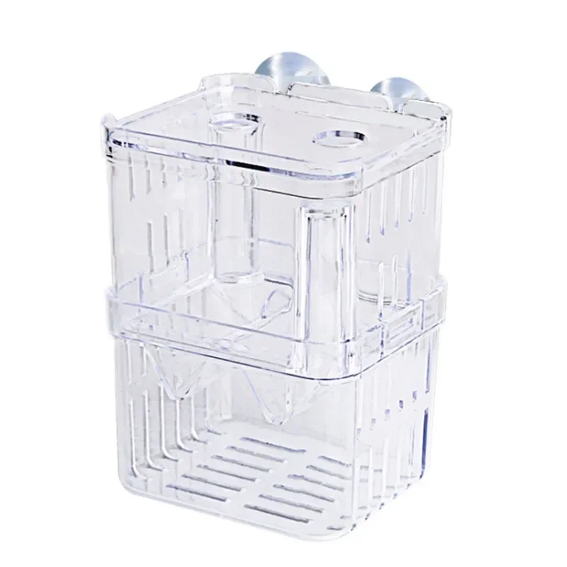 Aksesoris akuarium kotak isola - Aquarium Fish Jar ulasan dan harga
