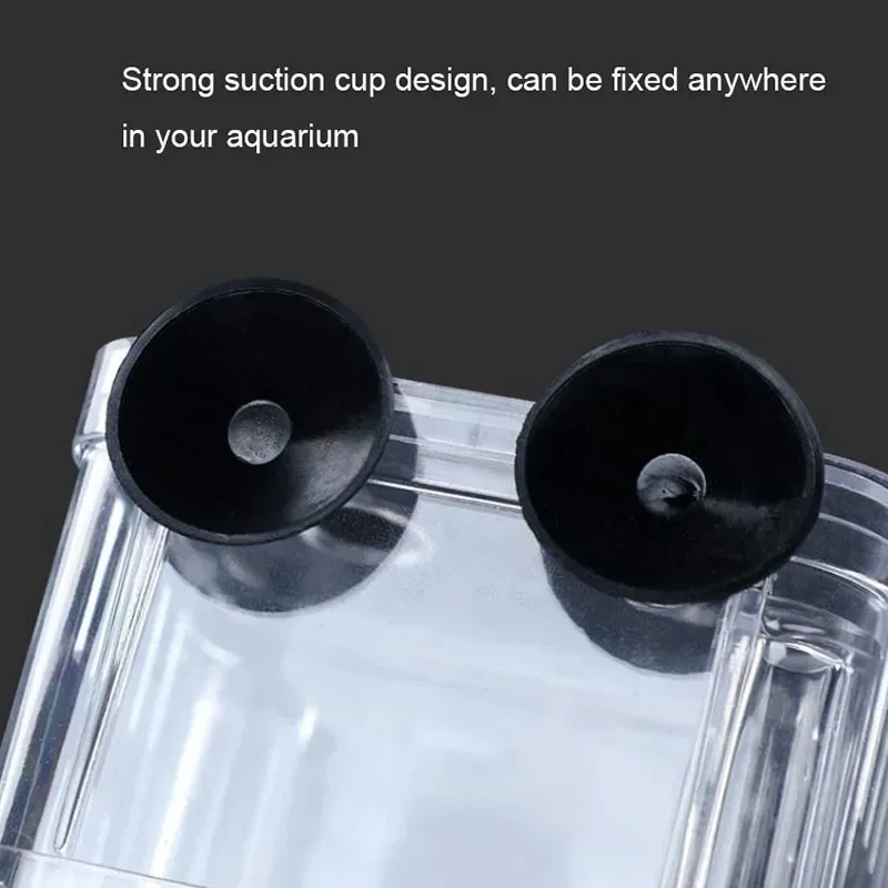 Aksesoris akuarium kotak isola - Aquarium Fish Jar ulasan dan harga