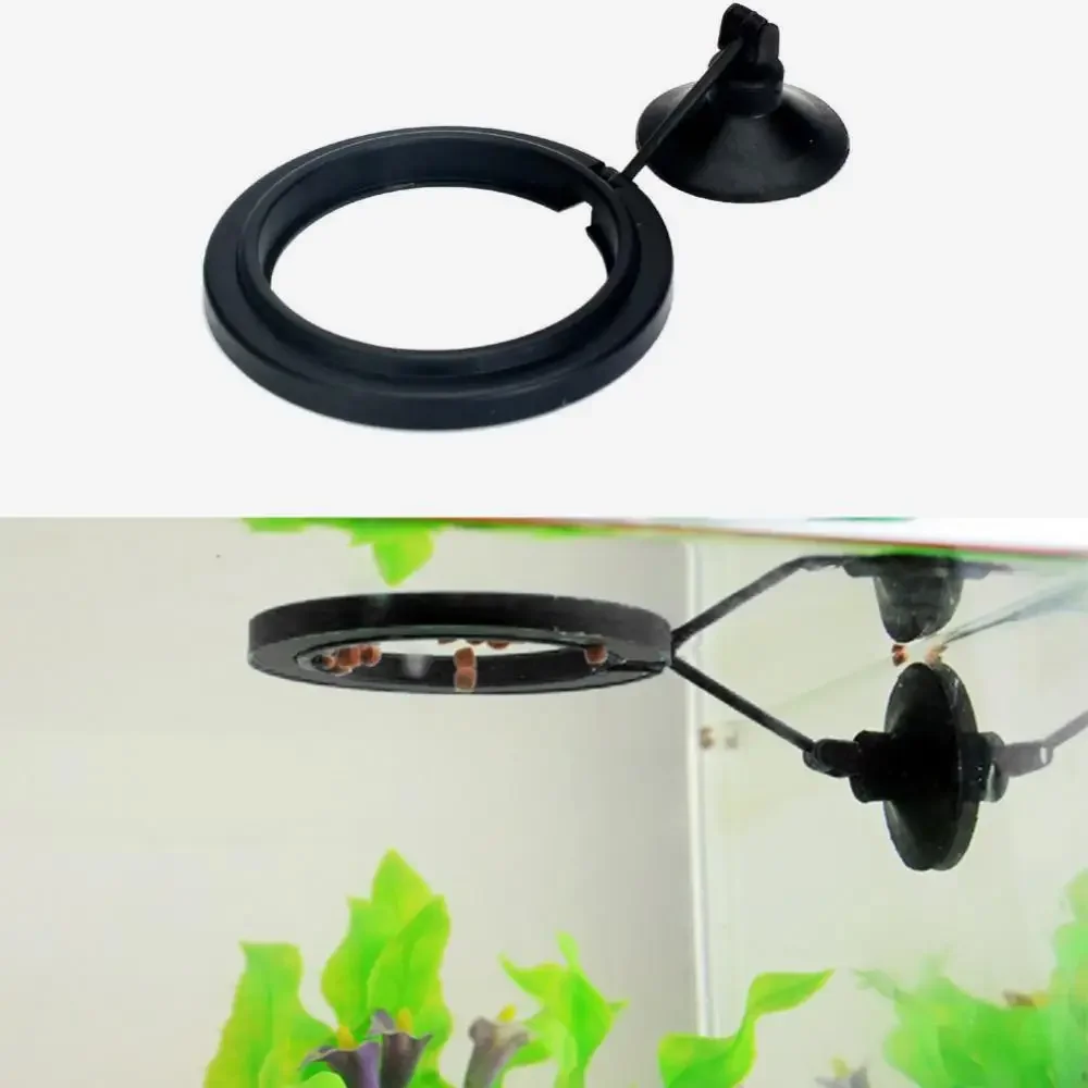Cangkir Isap Pakan Cincin Maka - Aquarium Fish Accessories ulasan dan harga