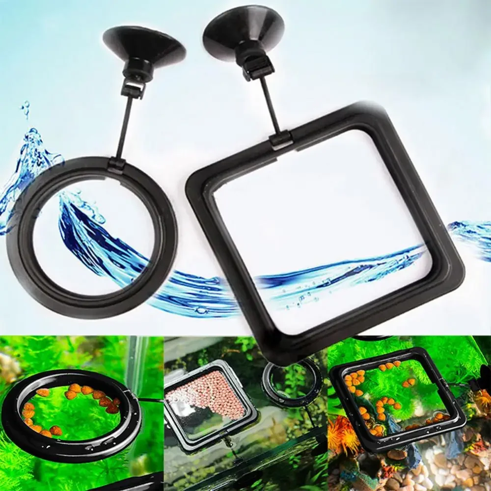 Cangkir Isap Pakan Cincin Maka - Aquarium Fish Accessories ulasan dan harga