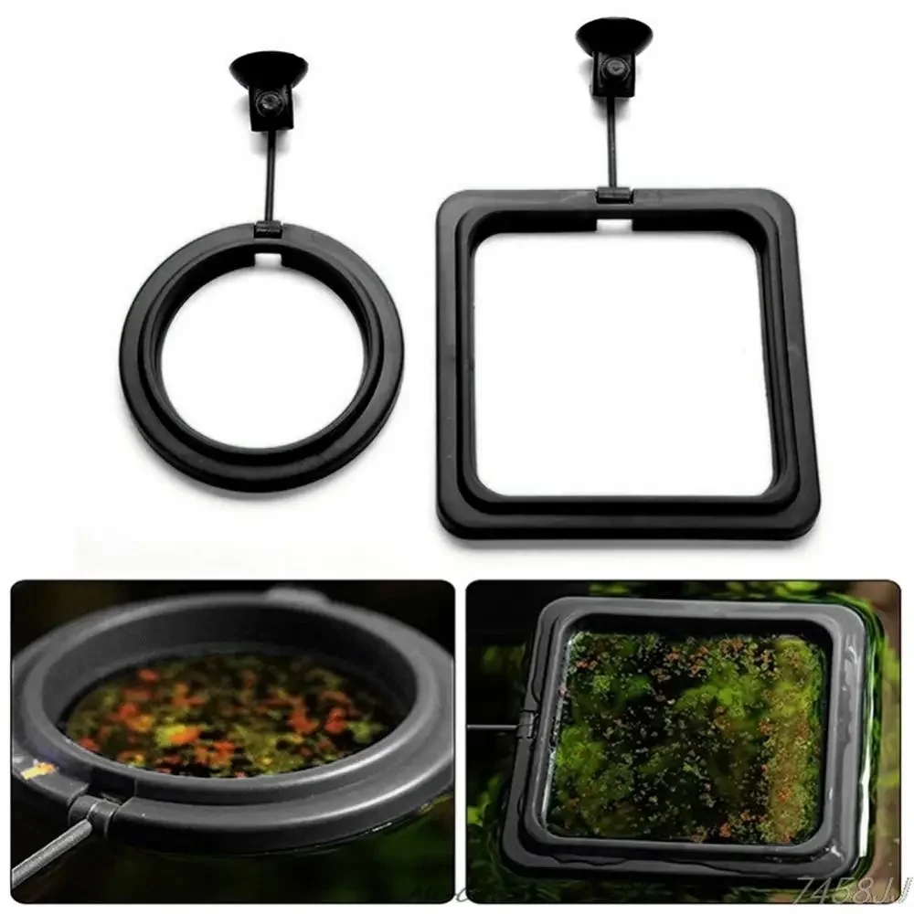 Cangkir Isap Pakan Cincin Maka - Aquarium Fish Accessories ulasan dan harga