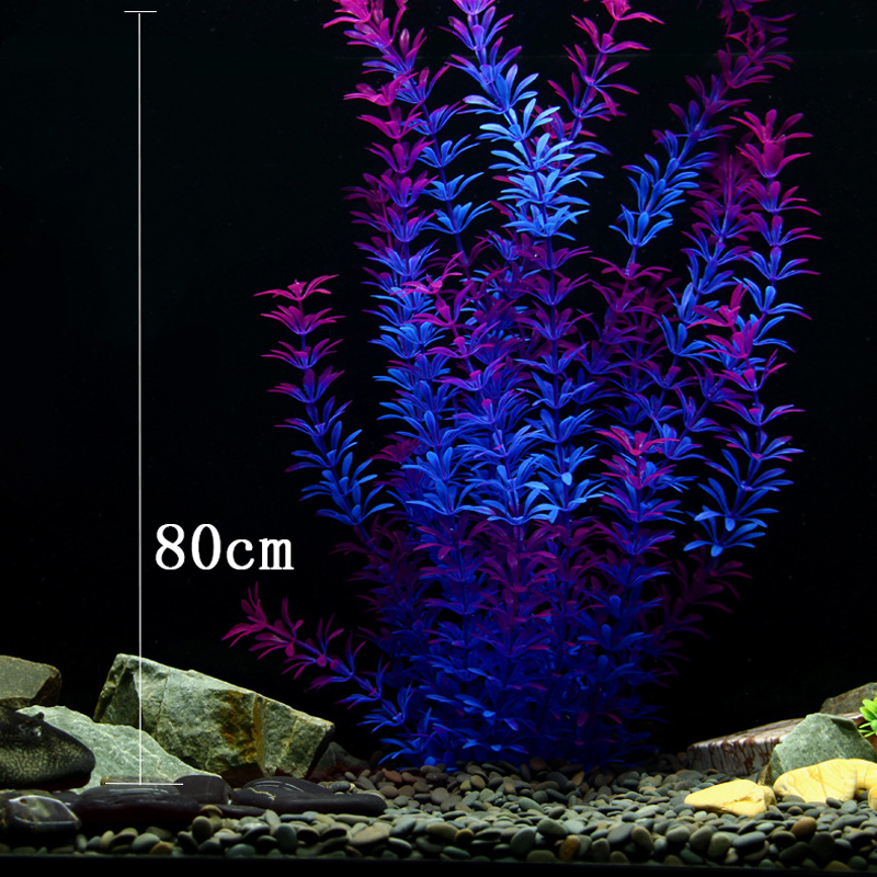 Tanaman Tropis 100cm, Rumput A - Aquarium Fish Types ulasan dan harga