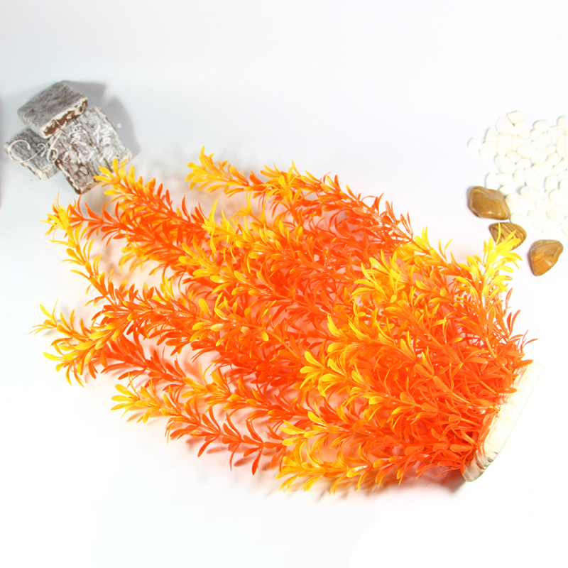 Tanaman Tropis 100cm, Rumput A - Aquarium Fish Types ulasan dan harga