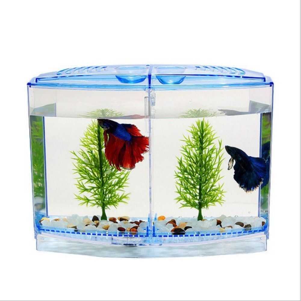 Tangki ikan cupang transparan, - Aquarium Fish Jar ulasan dan harga