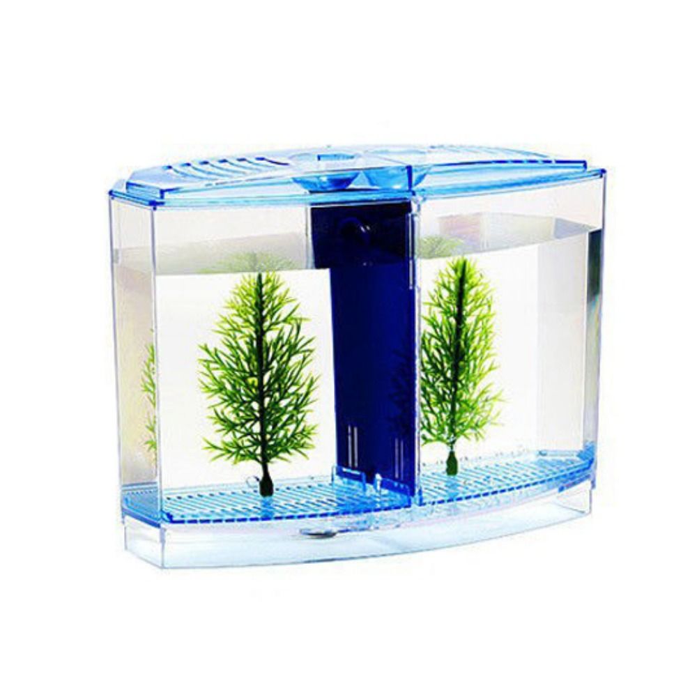 Tangki ikan cupang transparan, - Aquarium Fish Jar ulasan dan harga