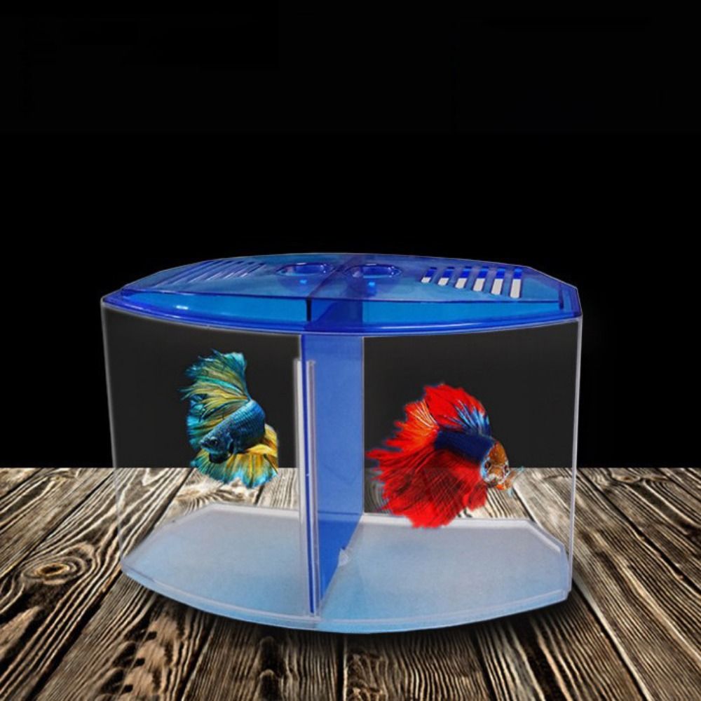 Tangki ikan cupang transparan, - Aquarium Fish Jar ulasan dan harga