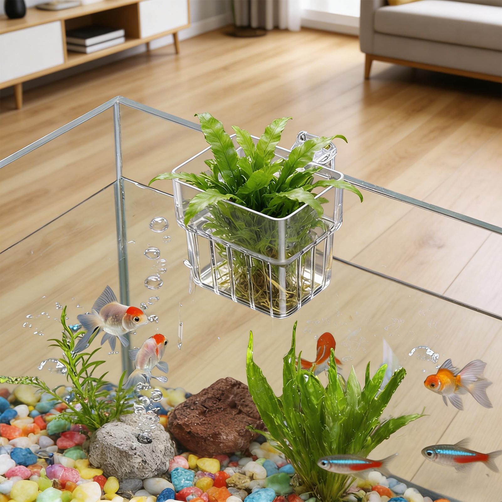 Pot Tanaman Akuarium Transpara - Aquarium Fish Hideout ulasan dan harga