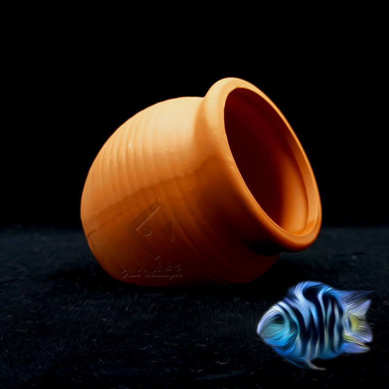 Akuarium Mini Tangki Keramik R - Aquarium Fish Hideout ulasan dan harga