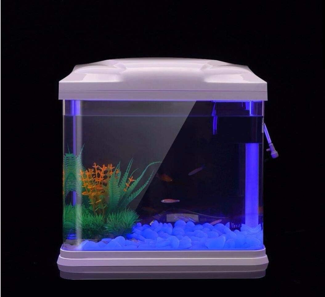 Batu Tangki Ikan Kerikil Biru  - Aquarium Fish Types ulasan dan harga