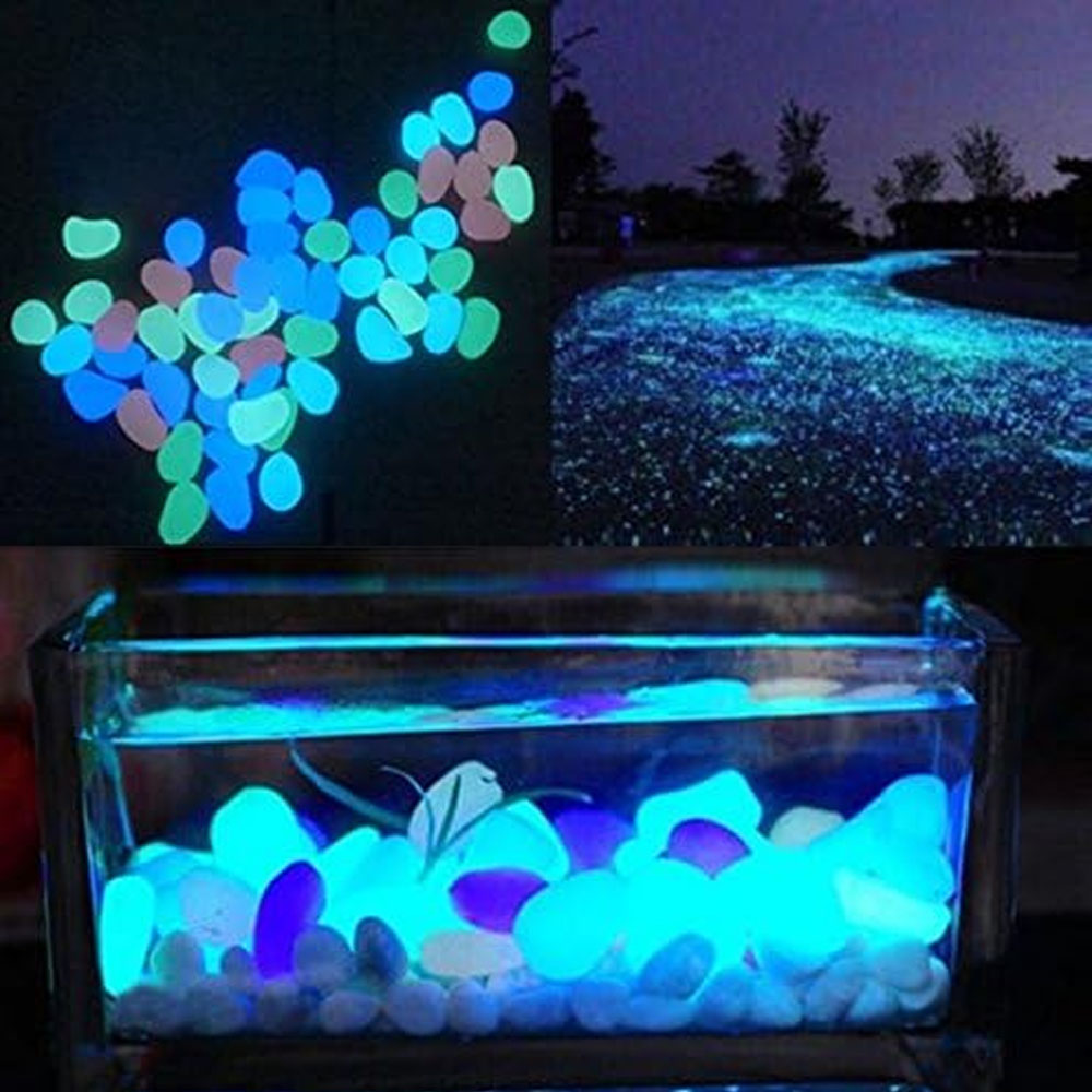 Batu Tangki Ikan Kerikil Biru  - Aquarium Fish Types ulasan dan harga