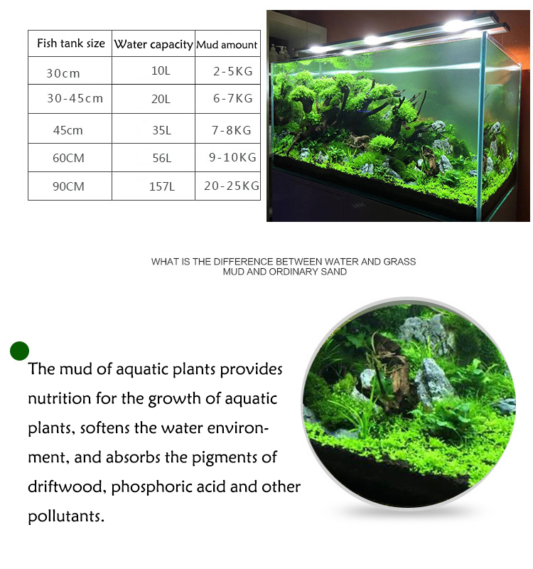 Bibit Tanaman Akuarium Tanah T - Aquarium Fish Types ulasan dan harga