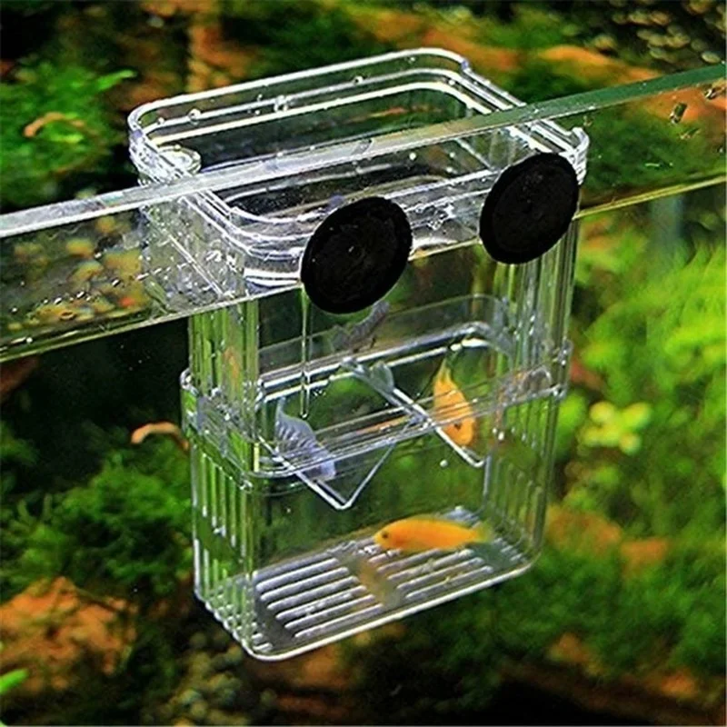 Akuarium Ikan Multifungsi, Kot - Aquarium Fish Jar ulasan dan harga