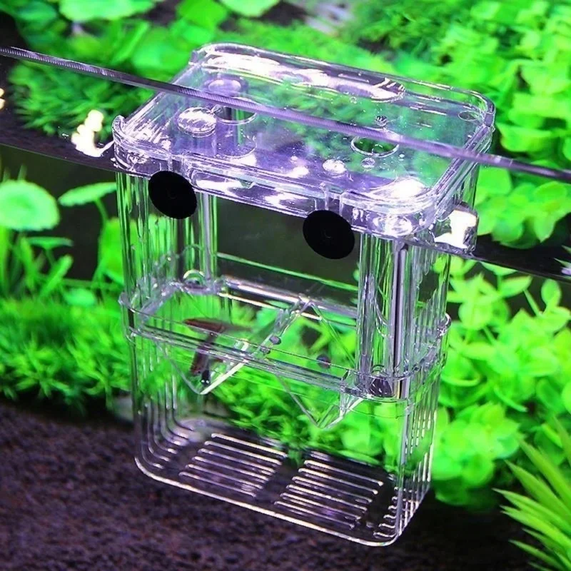 Akuarium Ikan Multifungsi, Kot - Aquarium Fish Jar ulasan dan harga
