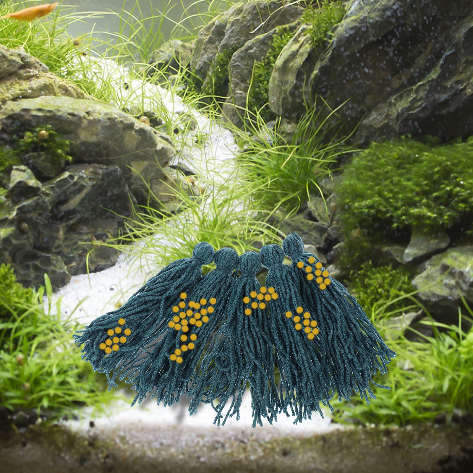 5 buah pel Spawning penetasan  - Aquarium Fish Hideout ulasan dan harga
