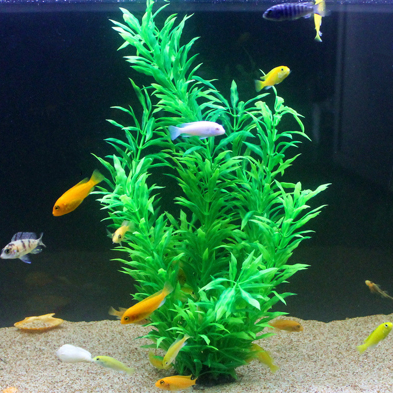 50CM Kolam Ikan Buatan Tanaman - Aquarium Fish Types ulasan dan harga