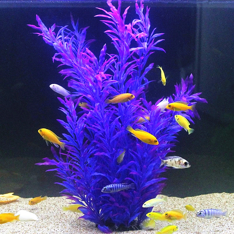 50CM Kolam Ikan Buatan Tanaman - Aquarium Fish Types ulasan dan harga