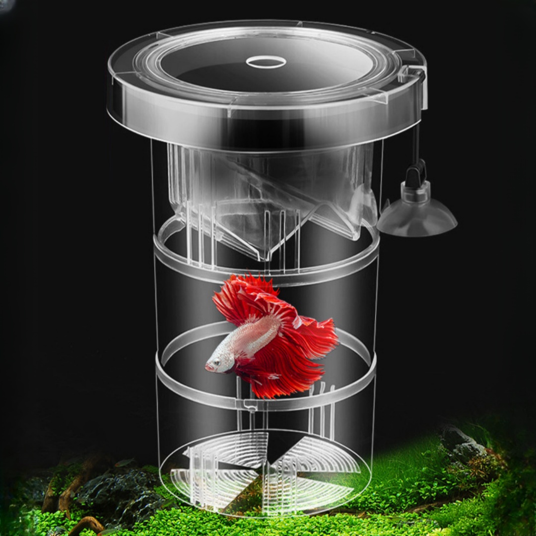 Kotak Isolasi Pembiakan Ikan A - Aquarium Fish Jar ulasan dan harga