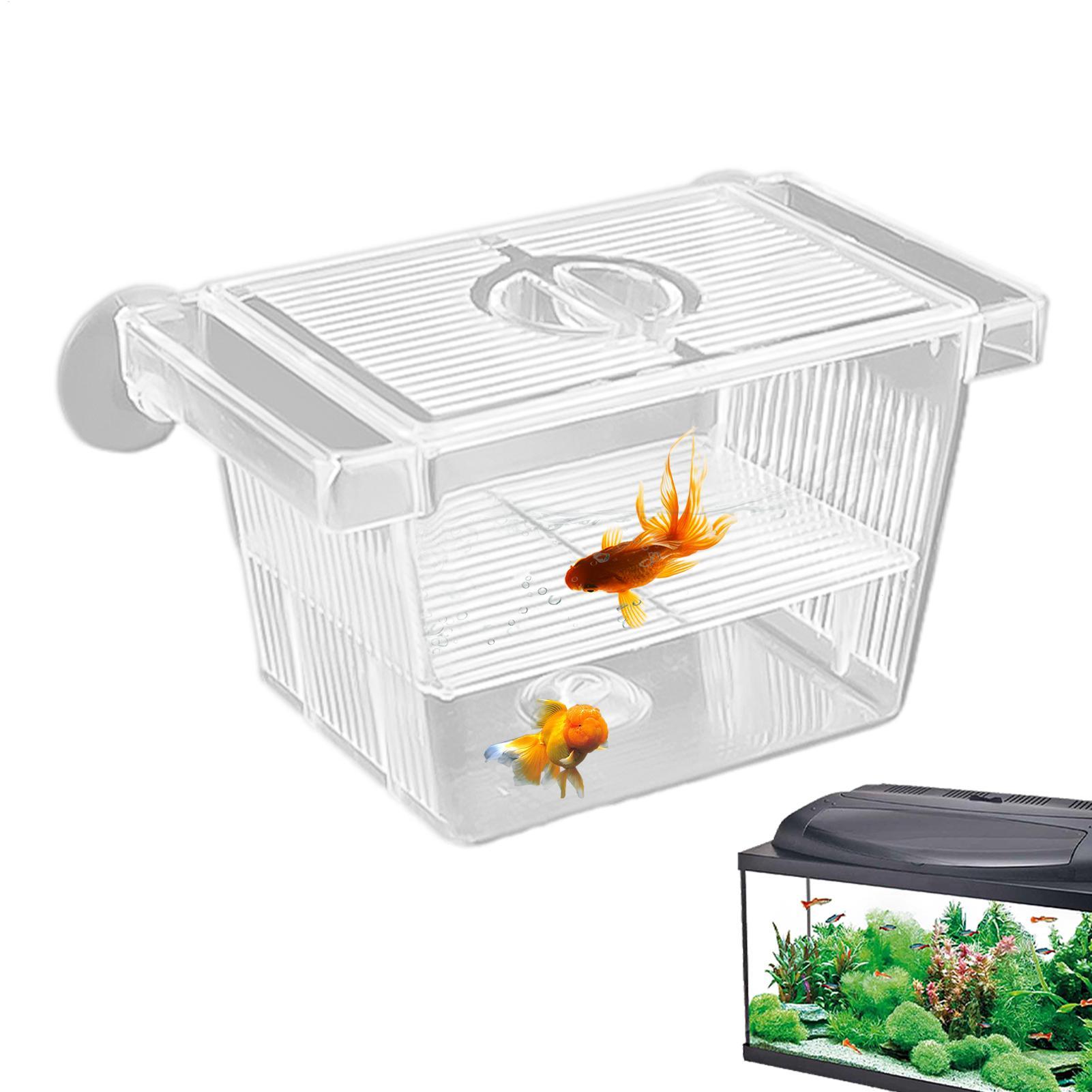 Kotak Isolasi Akrilik untuk Ak - Aquarium Fish Jar ulasan dan harga