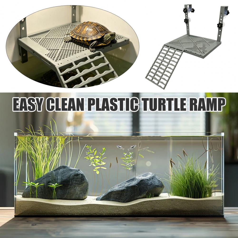 Dekorasi Akuarium Bentuk Padat - Aquarium Fish Types ulasan dan harga