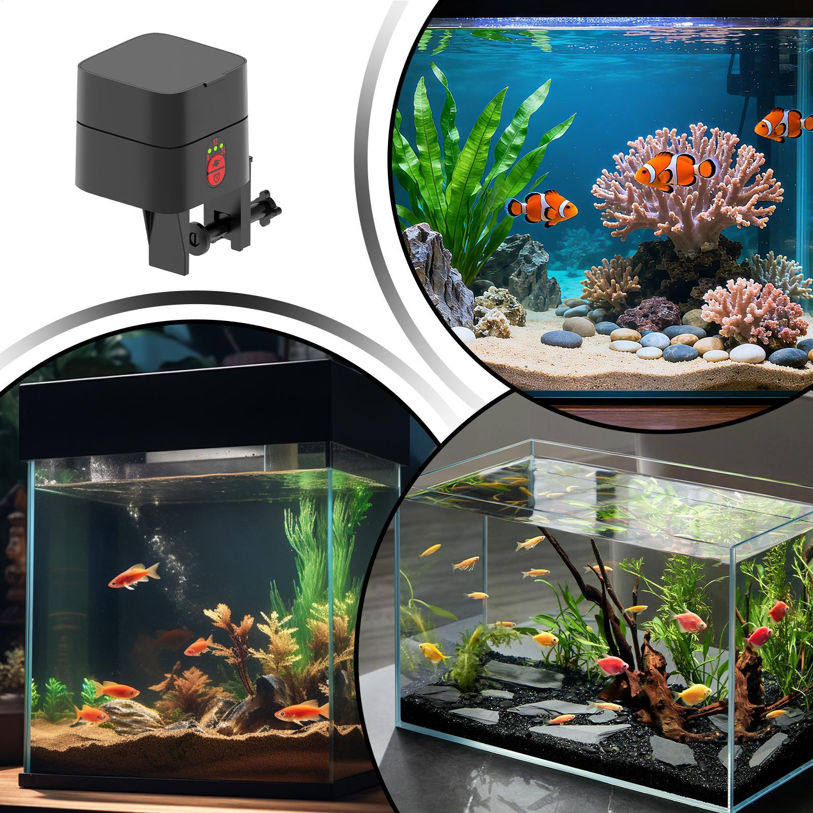 Pengumpan Ikan Otomatis untuk  - Aquarium Fish Jar ulasan dan harga