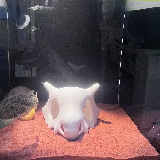 Tempat Persembunyian Tersembun - Aquarium Fish Hideout ulasan dan harga