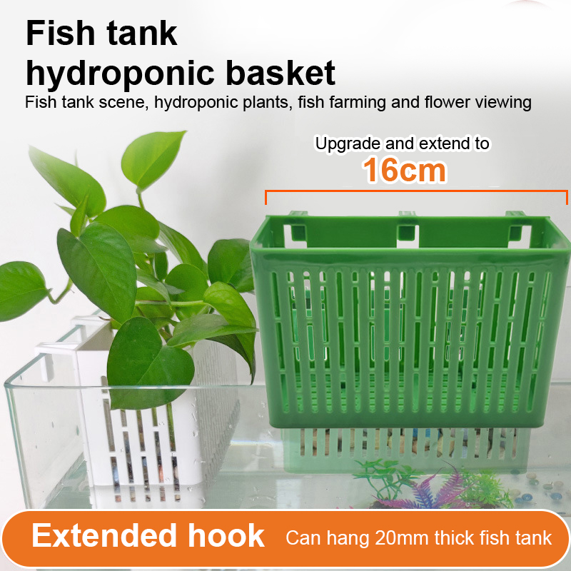 【F】Wadah Tanaman Gantung untuk - Aquarium Fish Types ulasan dan harga