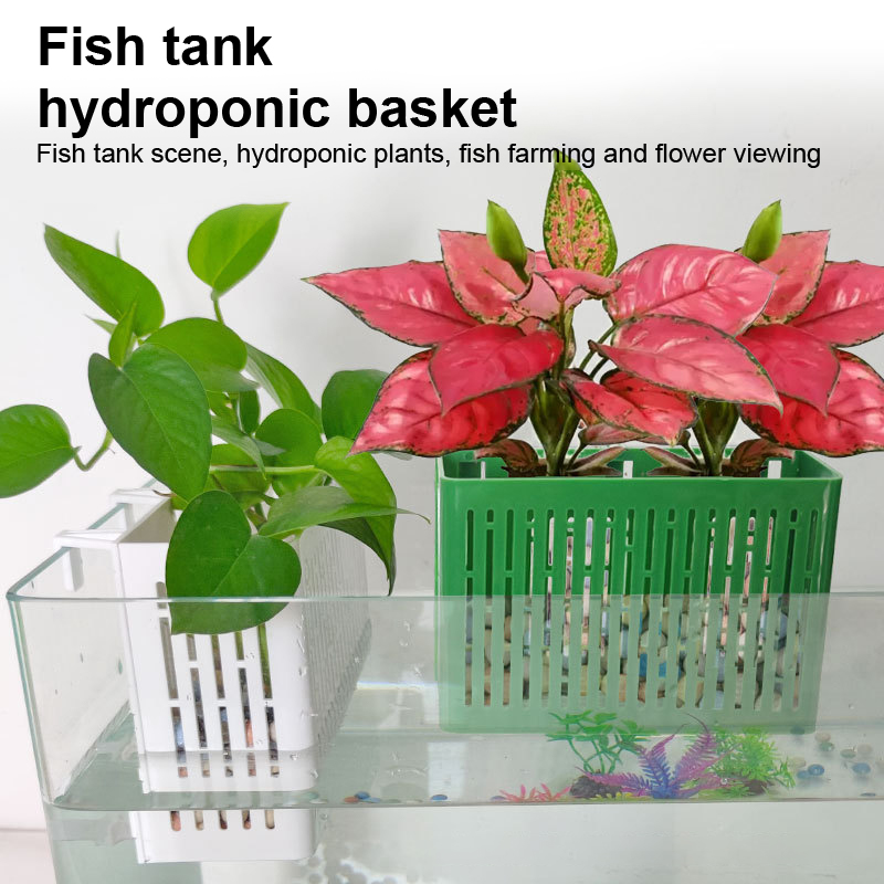 【F】Wadah Tanaman Gantung untuk - Aquarium Fish Types ulasan dan harga