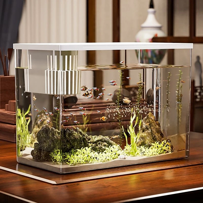 Tangki Ikan PET + ABS Transpar - Aquarium Fish Jar ulasan dan harga