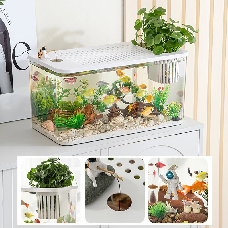Tangki Ikan PET + ABS Transpar - Aquarium Fish Jar ulasan dan harga